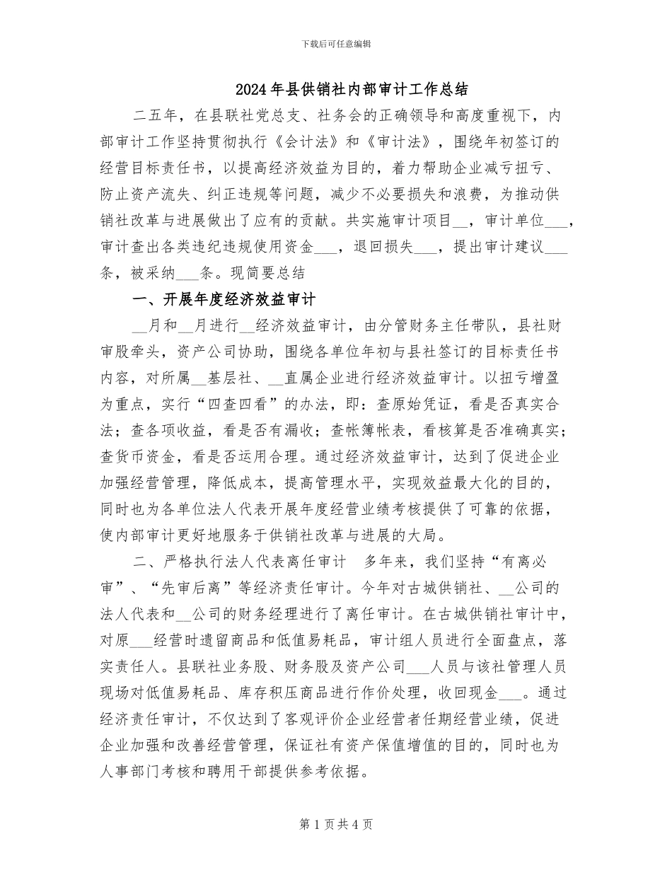 2024年县供销社内部审计工作总结_第1页