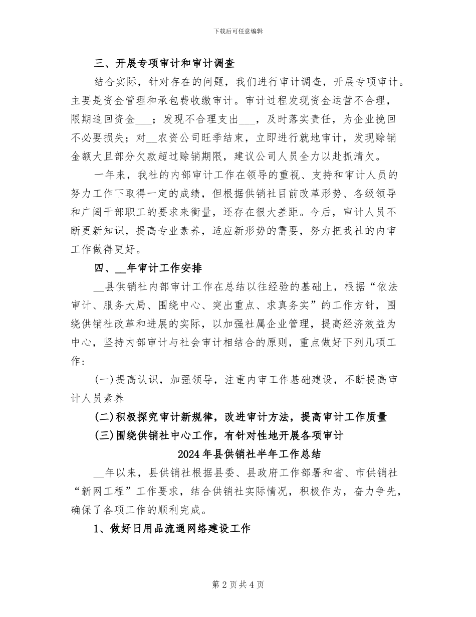 2024年县供销社内部审计工作总结_第2页