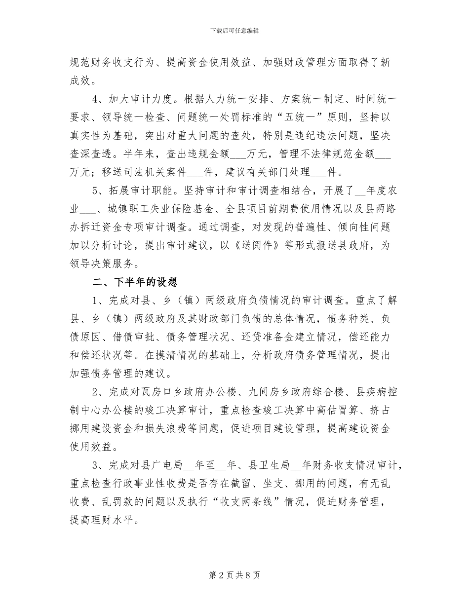 2024年县审计局项目上半年工作总结_第2页