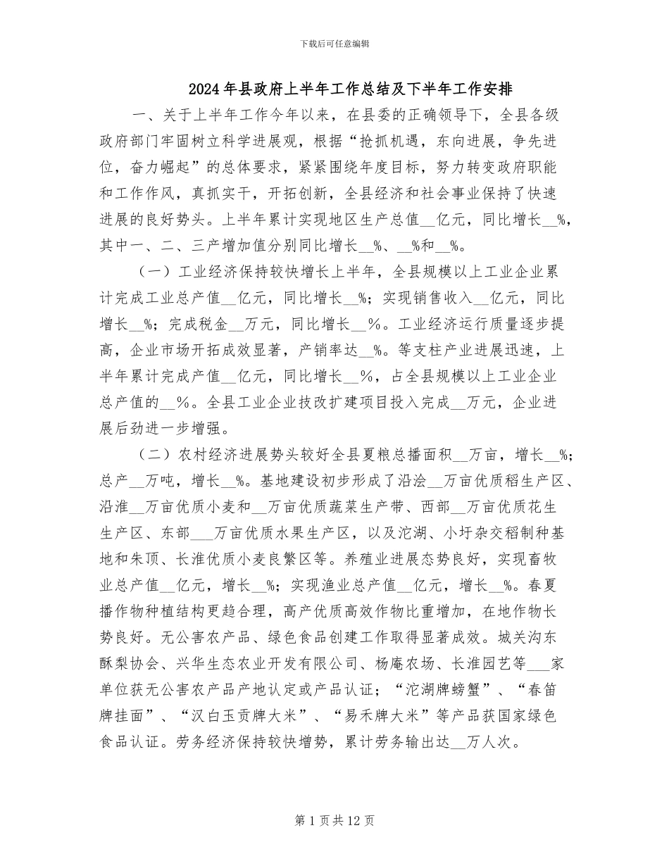 2024年县政府上半年工作总结及下半年工作安排_第1页