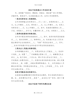 2024年县政就业工作总结汇报
