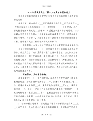 2024年县政府民生工程个人年度总结报告范文