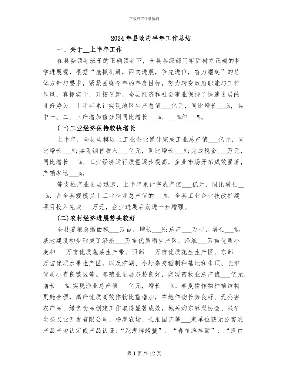 2024年县政府半年工作总结_第1页