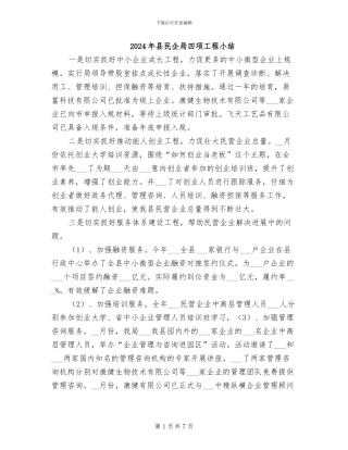 2024年县民企局四项工程小结