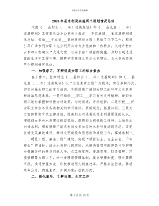 2024年县水利局实施两个规划情况总结