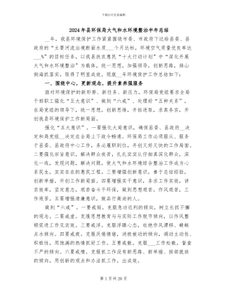 2024年县环保局大气和水环境整治半年总结