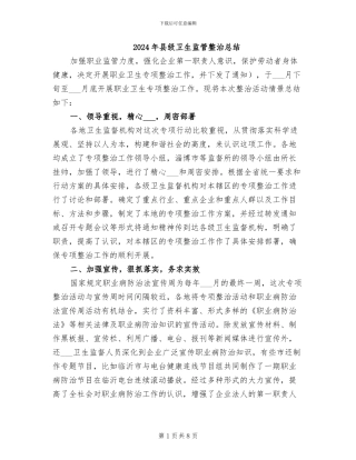 2024年县级卫生监管整治总结