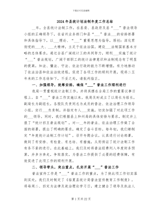 2024年县统计划法制年度工作总结
