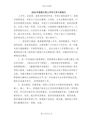 2024年县统计局上半年工作小结范文