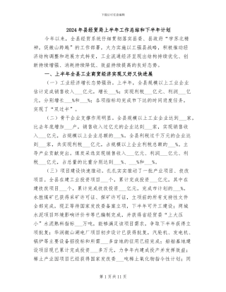 2024年县经贸局上半年工作总结和下半年计划
