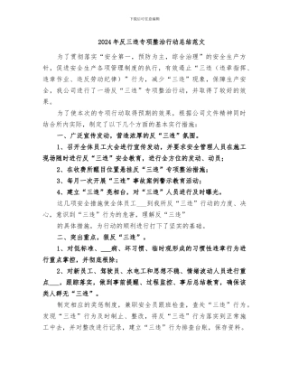 2024年反三违专项整治行动总结范文