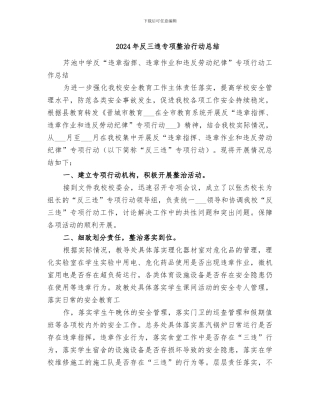 2024年反三违专项整治行动总结