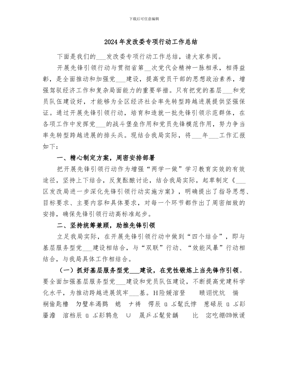 2024年发改委专项行动工作总结_第1页