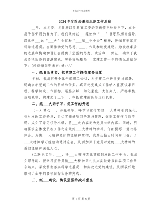 2024年发改局基层组织工作总结