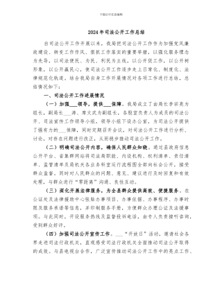 2024年司法公开工作总结