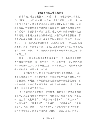 2024年司法工作总结范文