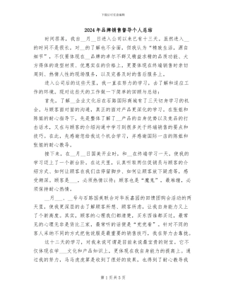 2024年品牌销售督导个人总结