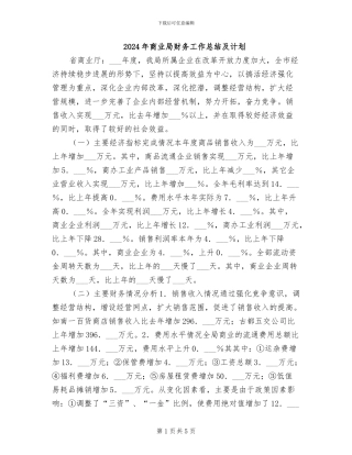 2024年商业局财务工作总结及计划