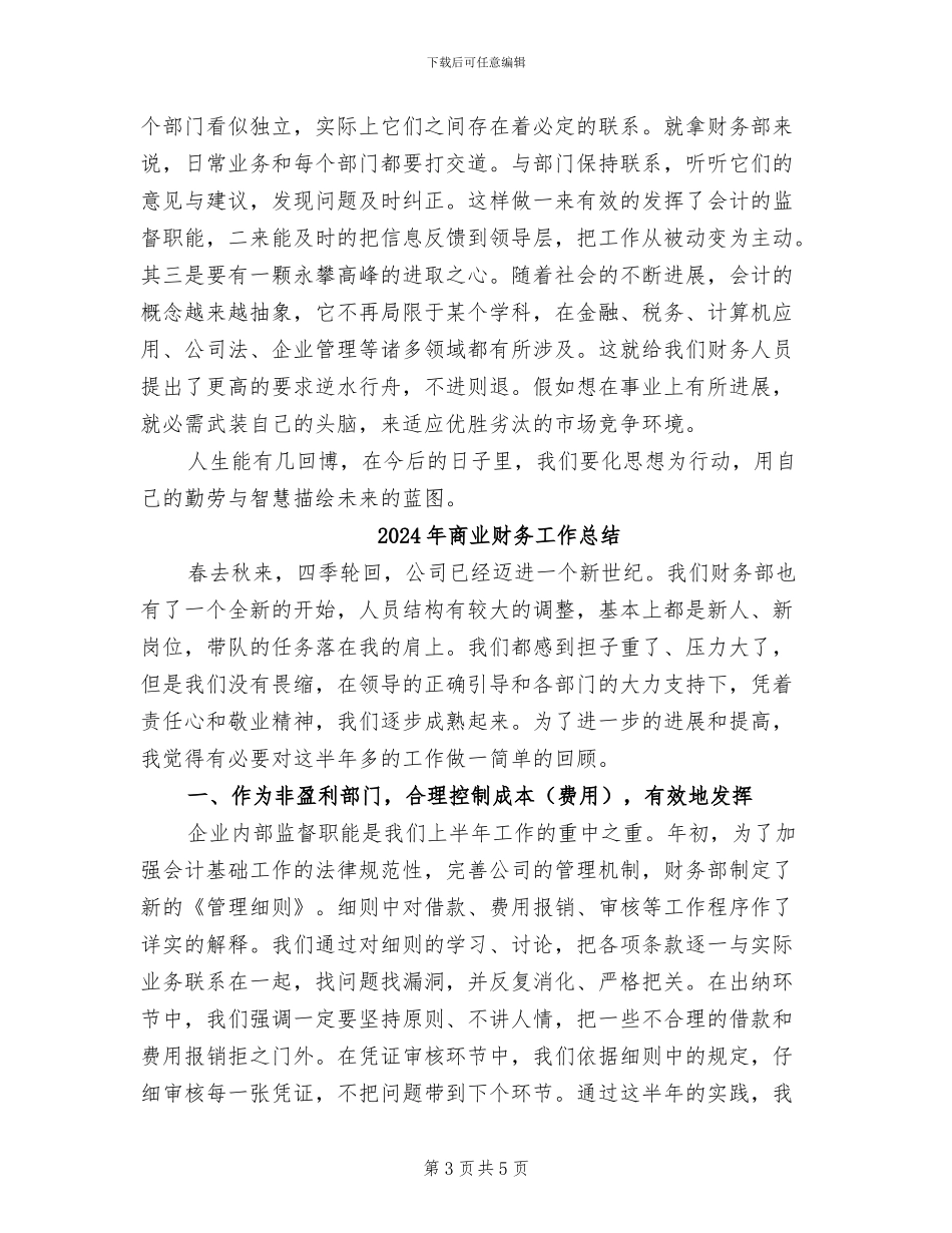 2024年商业财务工作个人年度总结_第3页