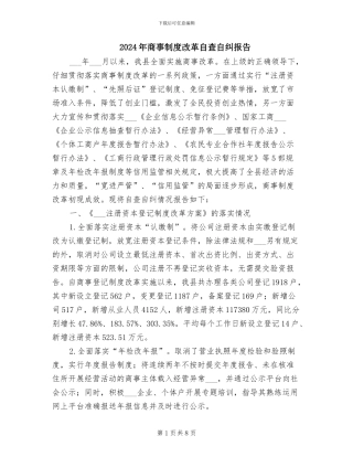 2024年商事制度改革自查自纠报告