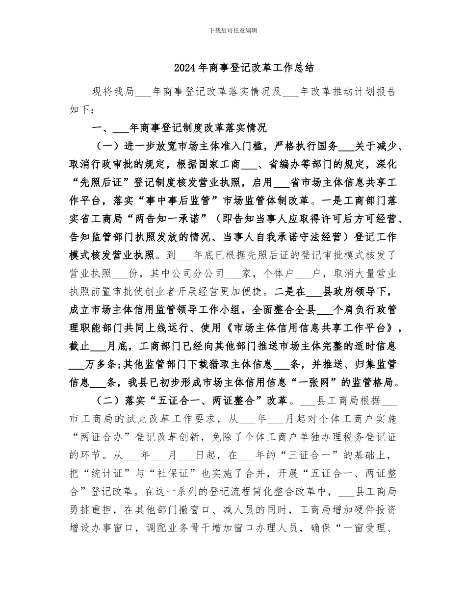 2024年商事登记改革工作总结_第1页
