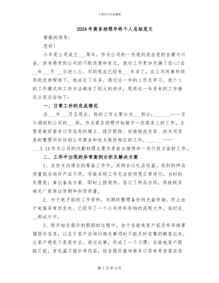 2024年商务助理年终个人总结范文