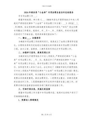 2024年商务局“小金库”专项治理自查自纠总结报告