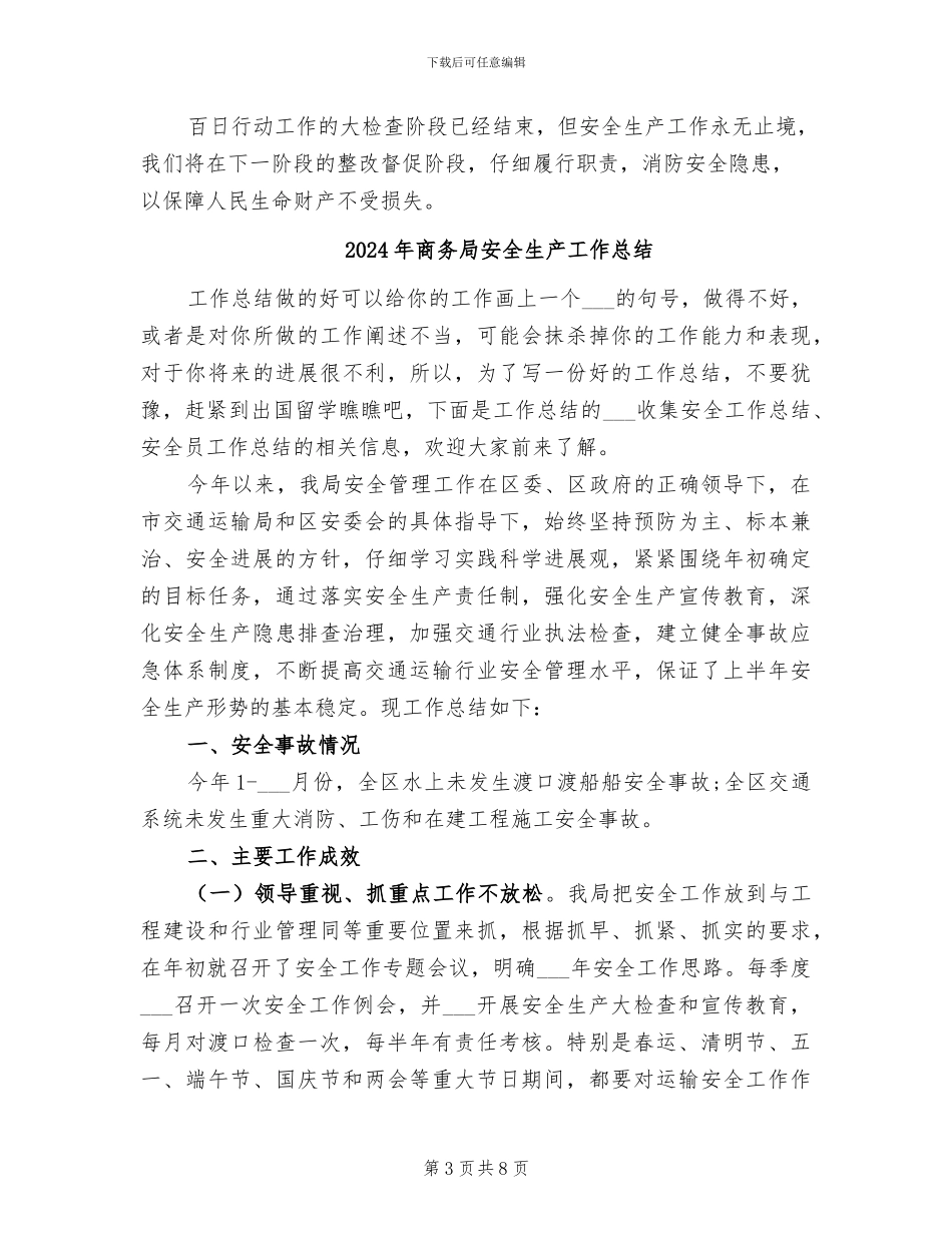 2024年商务局安全生产大检查百日行动工作总结_第3页