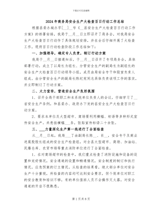 2024年商务局安全生产大检查百日行动工作总结