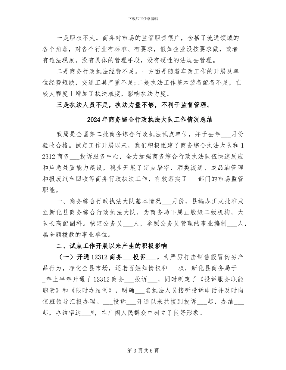 2024年商务综合执法大队工作总结_第3页