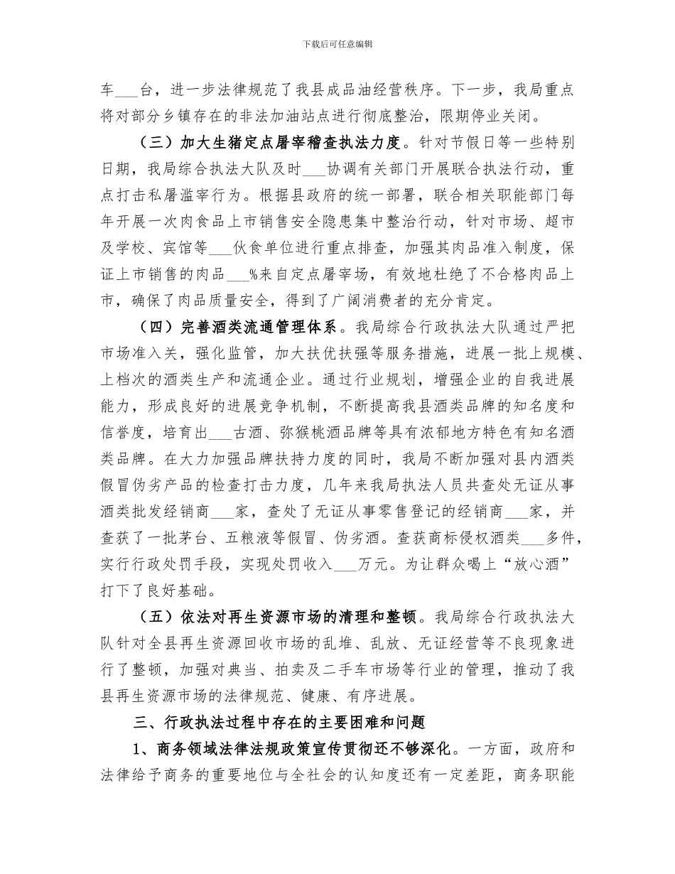 2024年商务综合行政执法工作总结范本_第2页