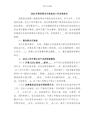 2024年商务综合行政执法工作总结范本