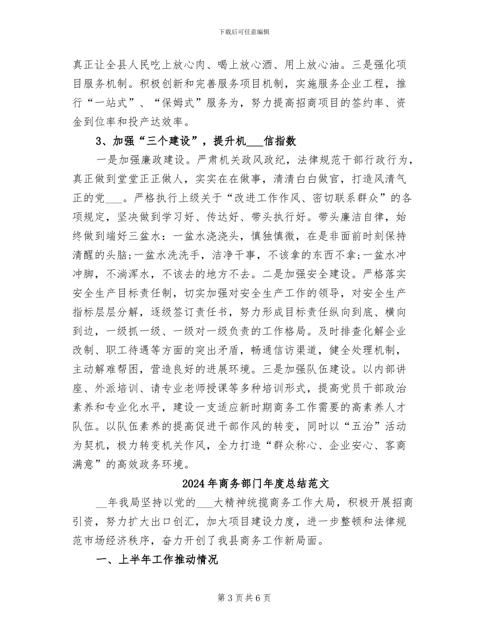 2024年商务部门年度总结_第3页