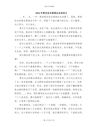 2024年商品协会展销会总结范文