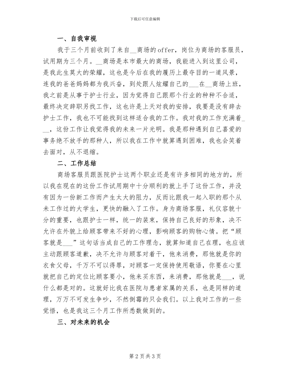 2024年商场客服试用期个人工作总结_第2页