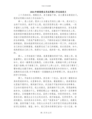 2024年商场营业员试用期工作总结范文