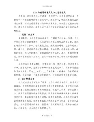 2024年商场销售人员个人总结范文