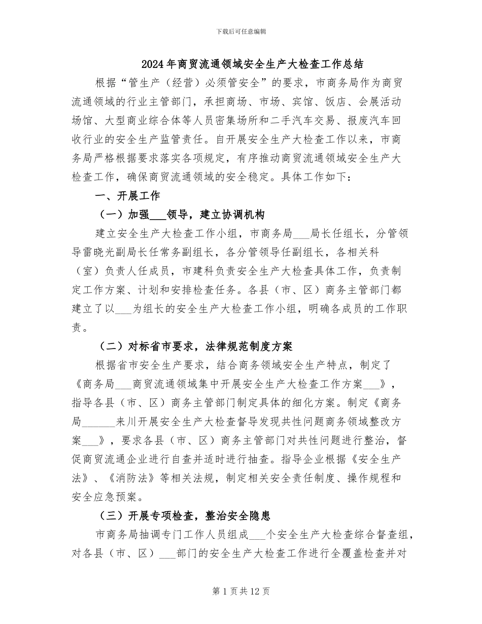 2024年商贸流通领域安全生产大检查工作总结_第1页