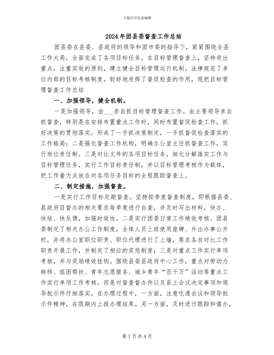 2024年团县委督查工作总结_第1页