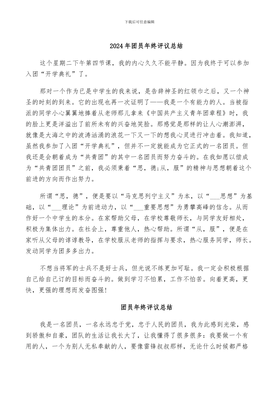 2024年团员年终评议总结_第1页