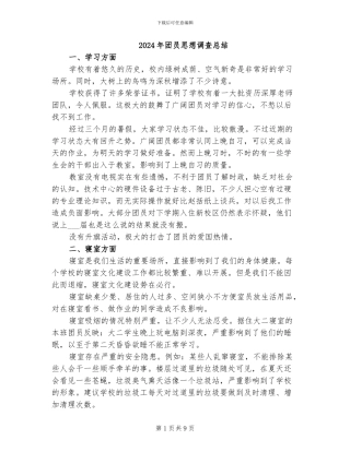 2024年团员思想调查总结