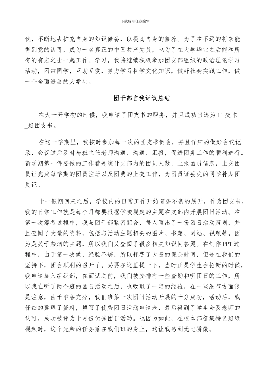 2024年团干部自我评议总结_第3页