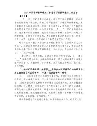 2024年团干部挂职锻炼工作总结下派挂职锻炼工作总结