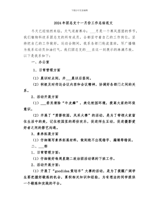 2024年团总支十一月份工作总结范文