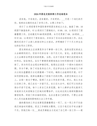2024年团总支组织部工作总结范本