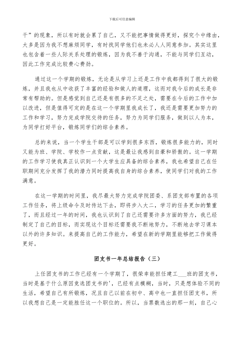 2024年团支书一年工作总结_第3页