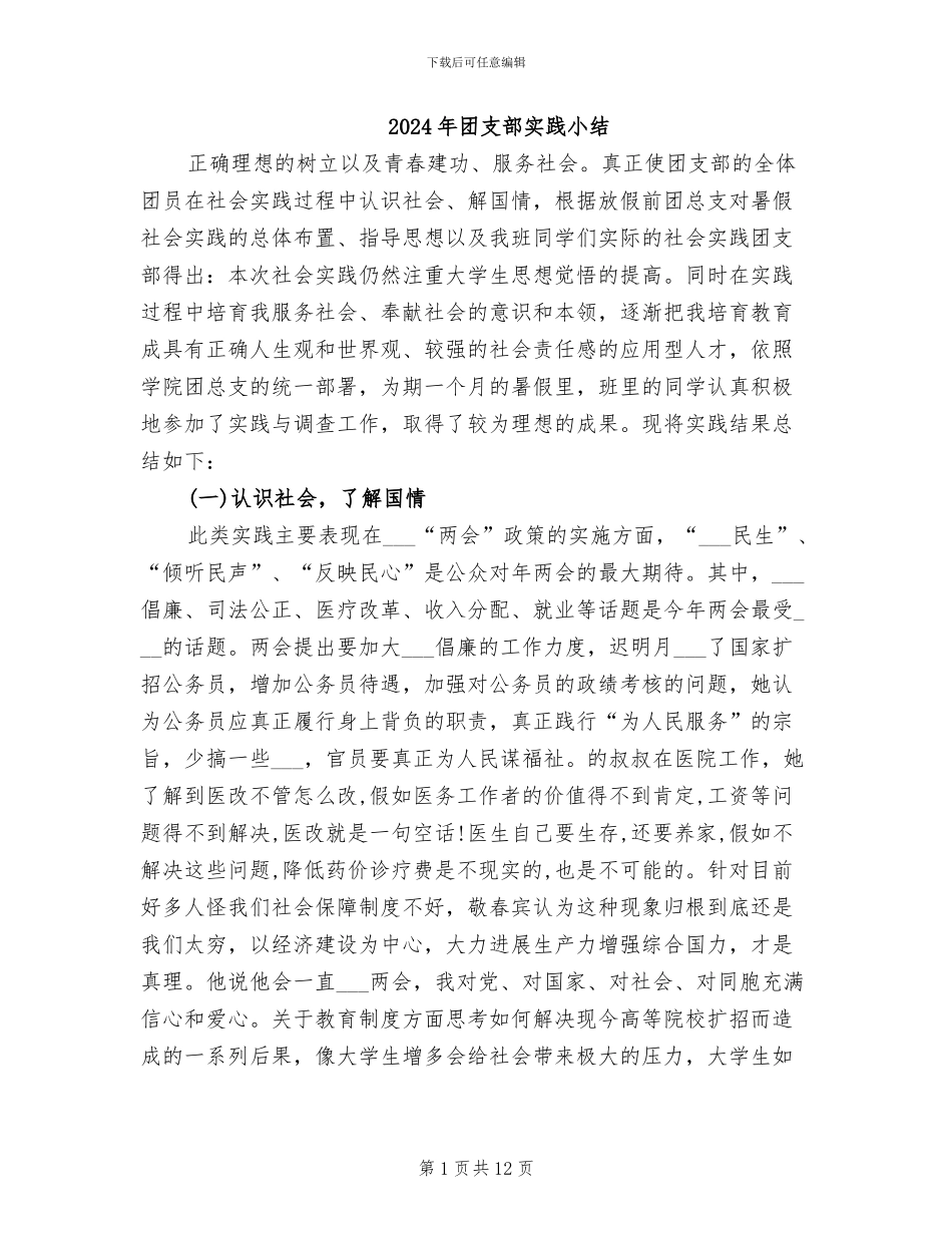 2024年团支部实践小结_第1页