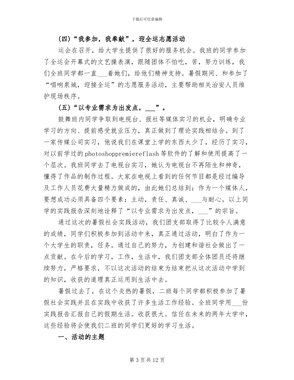 2024年团支部实践小结_第3页