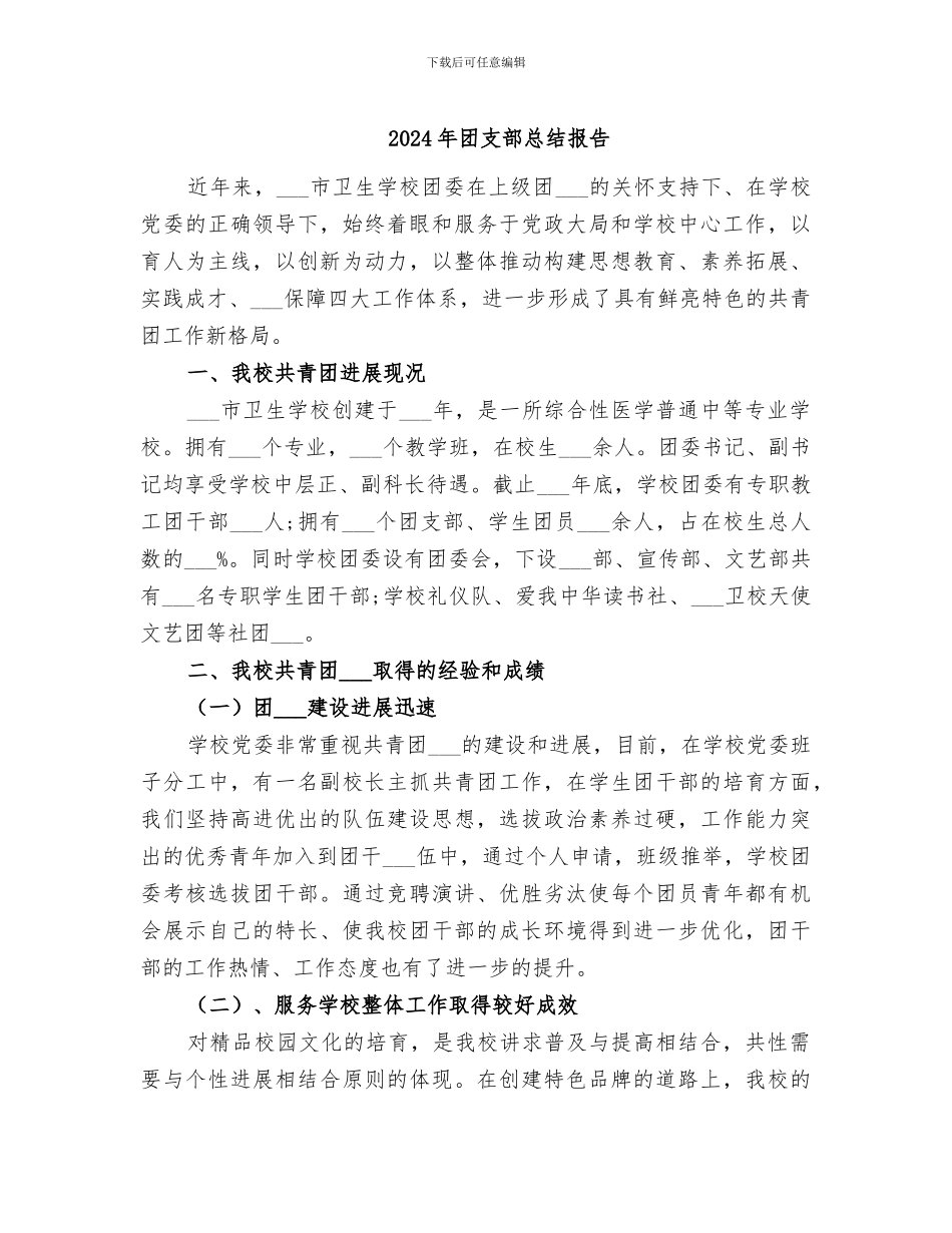 2024年团支部总结报告_第1页