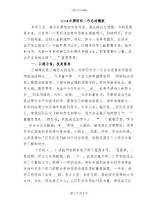 2024年团组织工作总结模板
